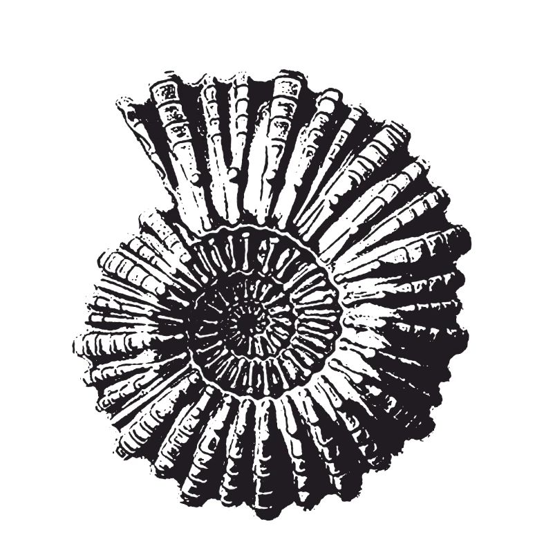 Escargot de pierre rétro
