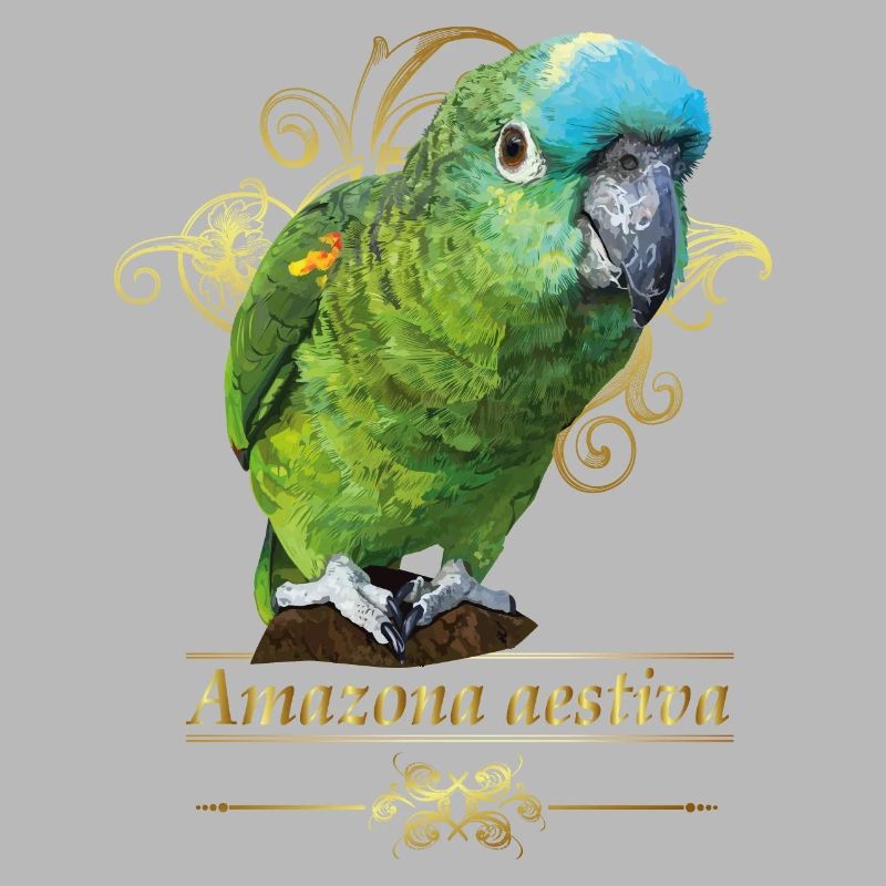 Amazone à front bleu
