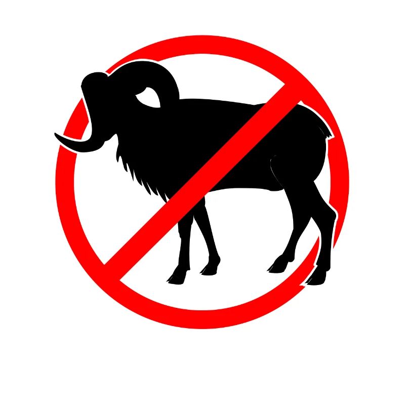 Ziegen oder Mufflons verboten - Ziege