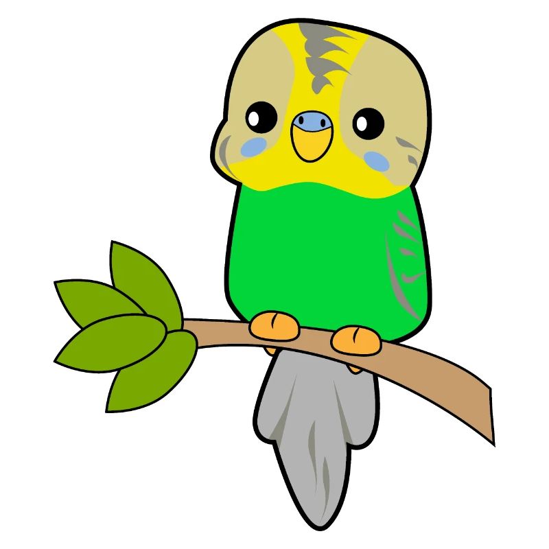 Perroquet budgerigar