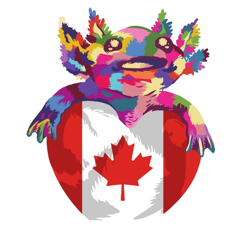 Drapeau du Canada Feuille d’érable Drapeau canadien Canada