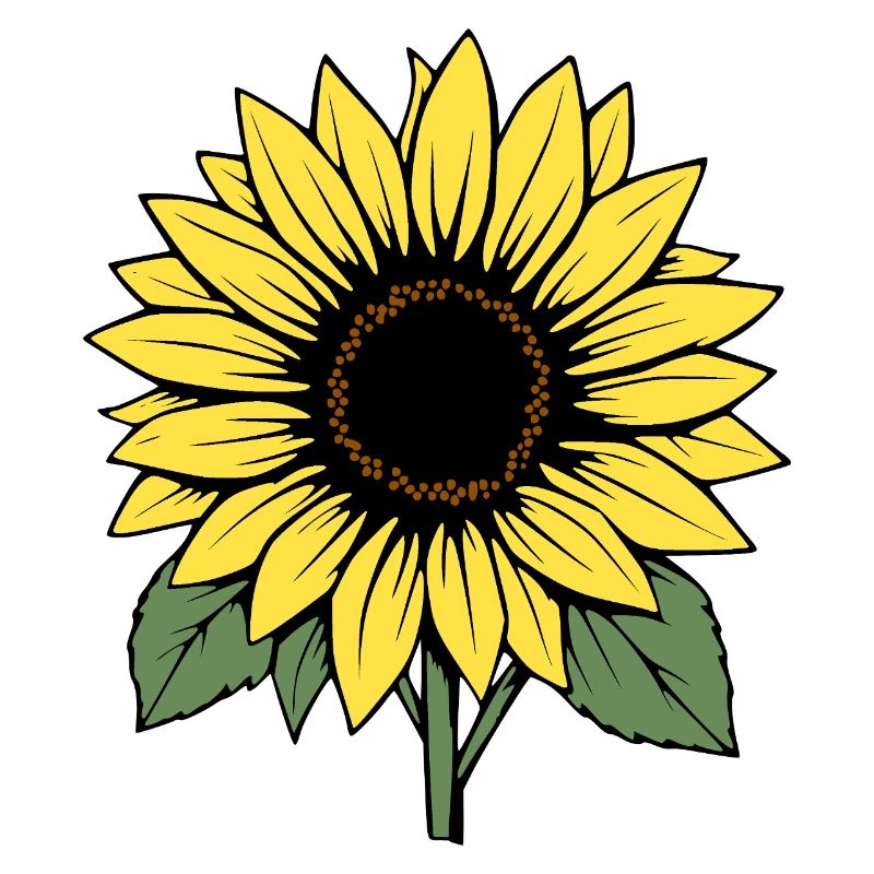 Fleur Fleur Jaune Fleurs Fleur Tournesol Fleur