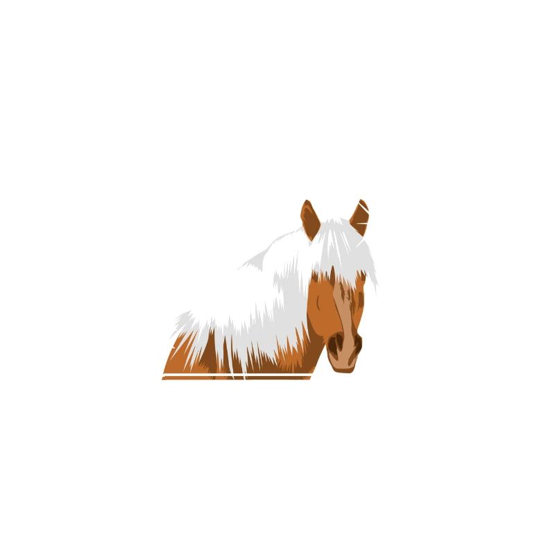 Haflinger