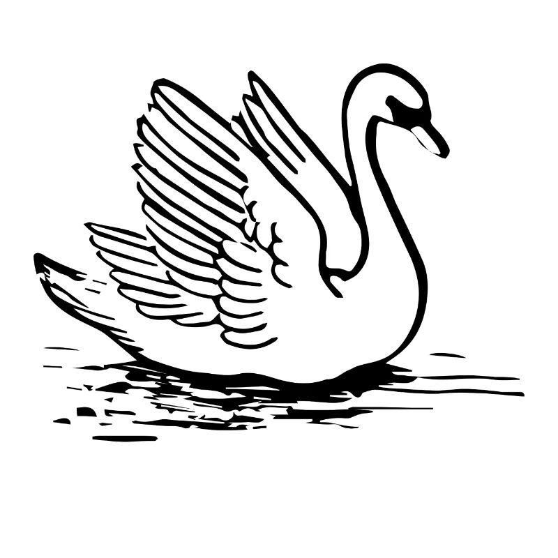 schwan