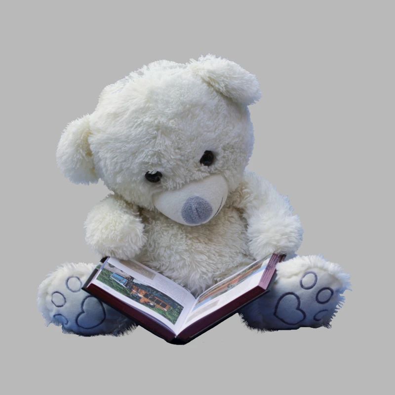 Teddy