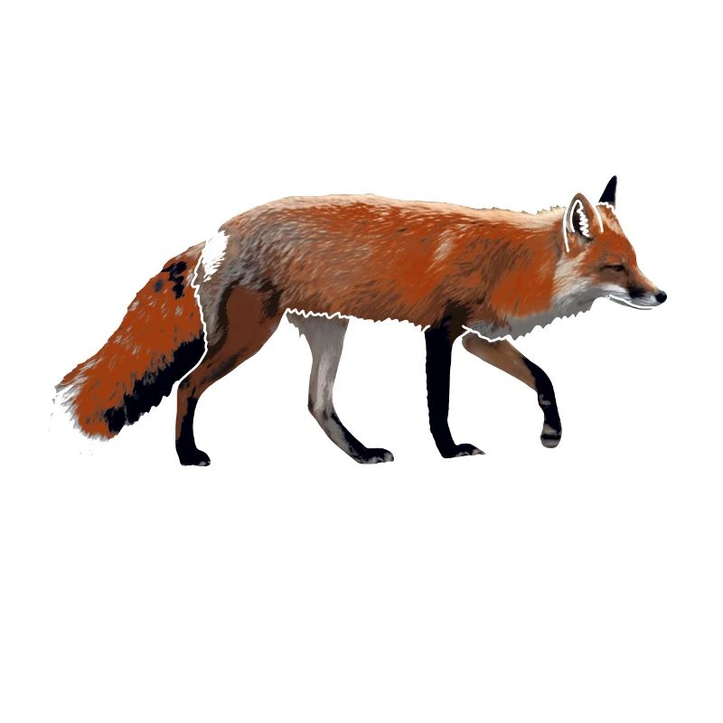 Fuchs