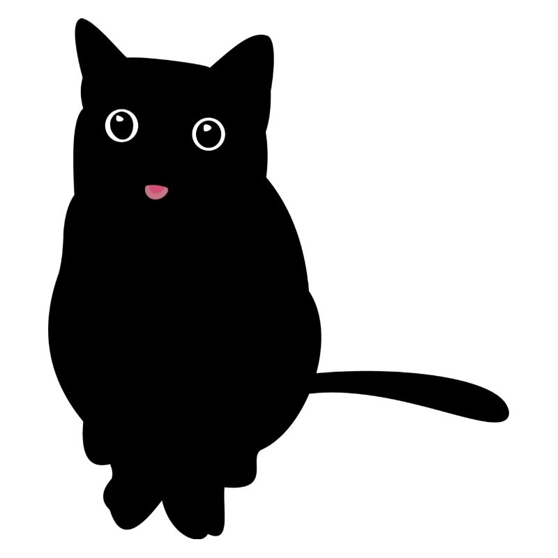 black cat - chat noir