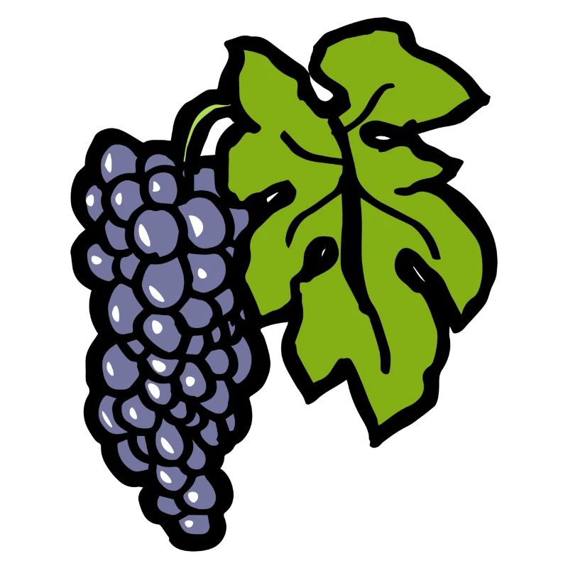 Grapevine Pinot Noir Gift Funny Winemaker Grape