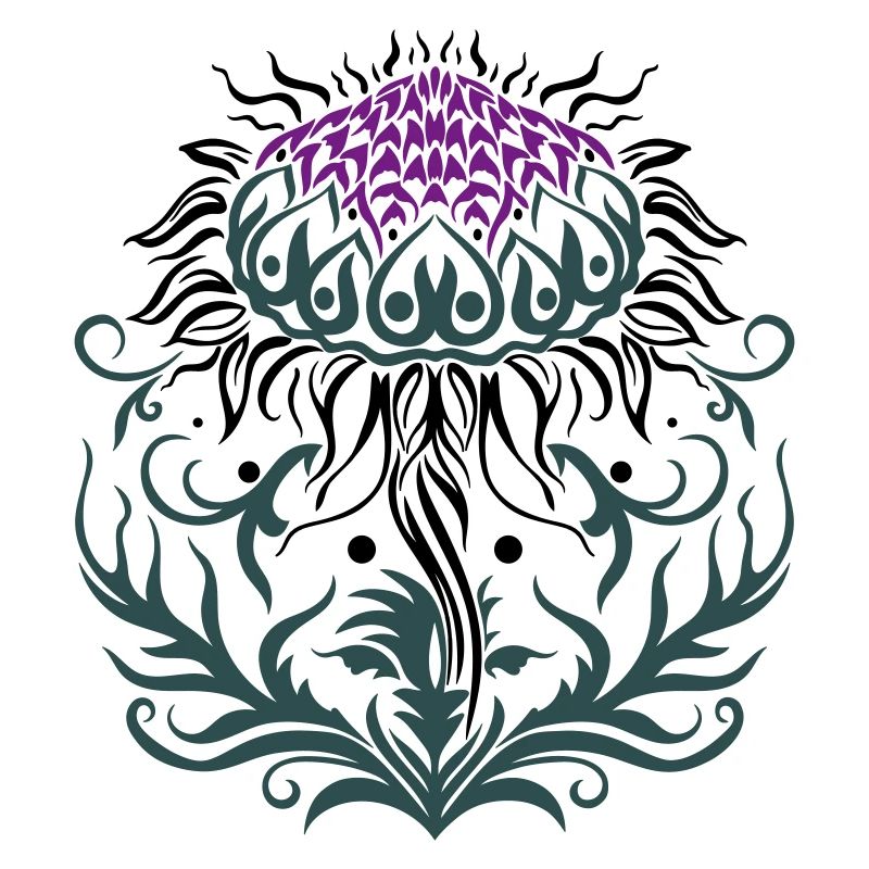 Chardon pourpre Chardon