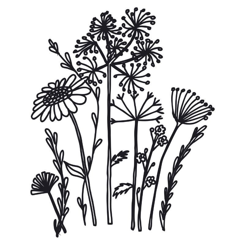 Fleurs séchées noires