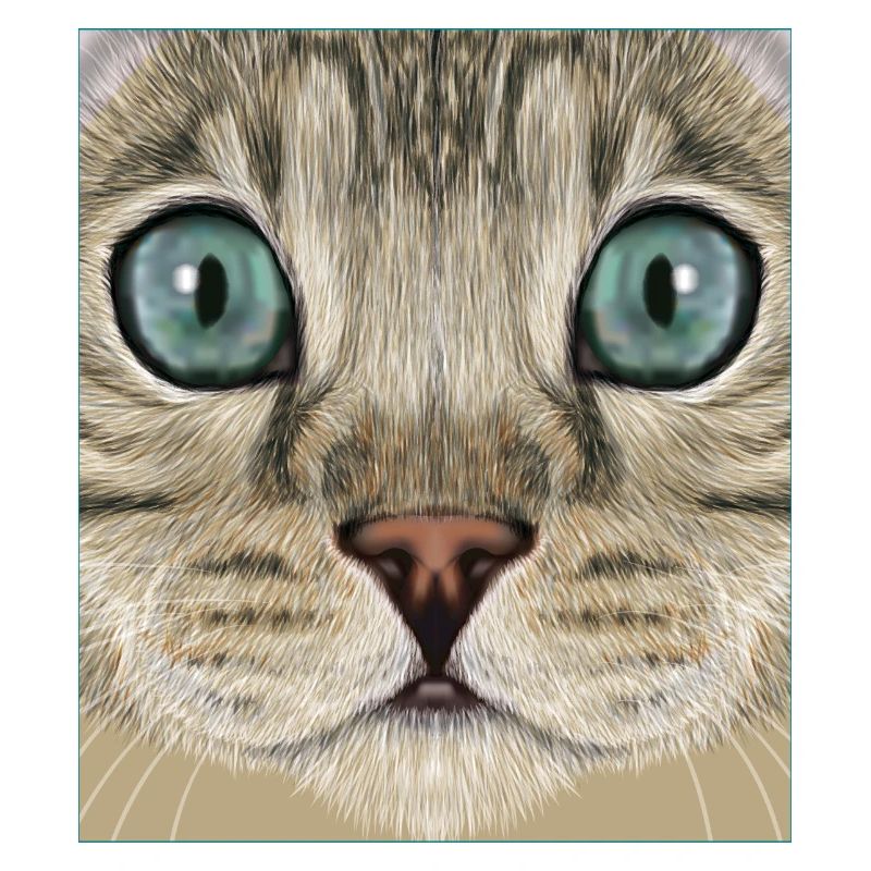 Chat léopard