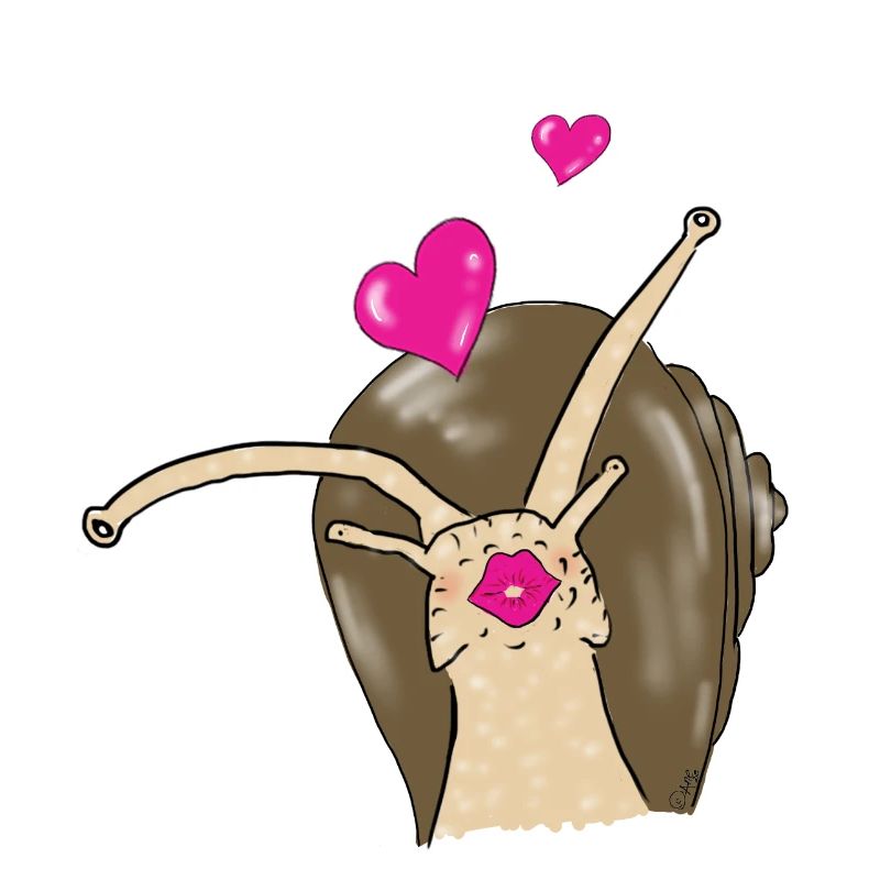 snail