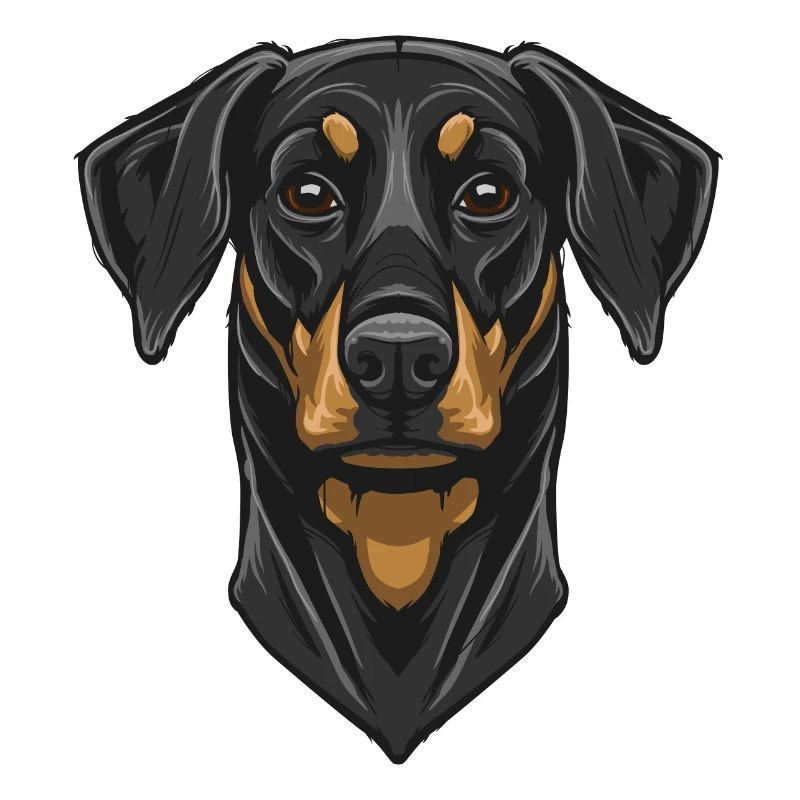 Dobermann