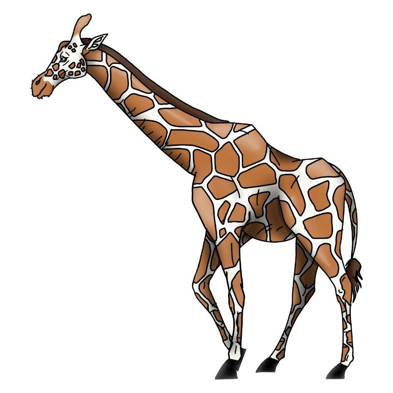 Giraffa