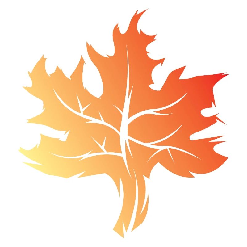 Maple Leaf Icon Colors Logo icon Illustration