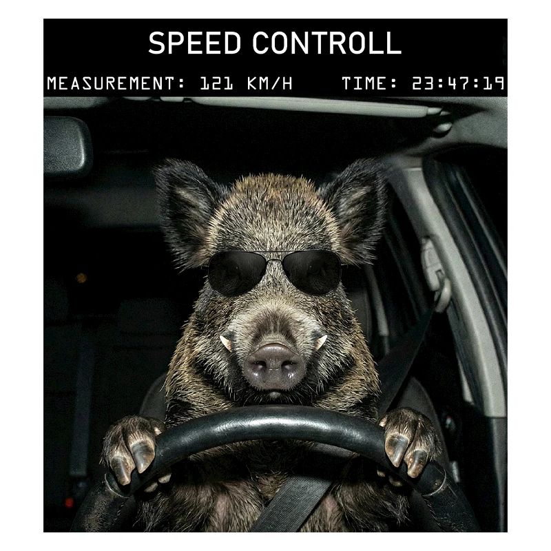Wild boar speed control