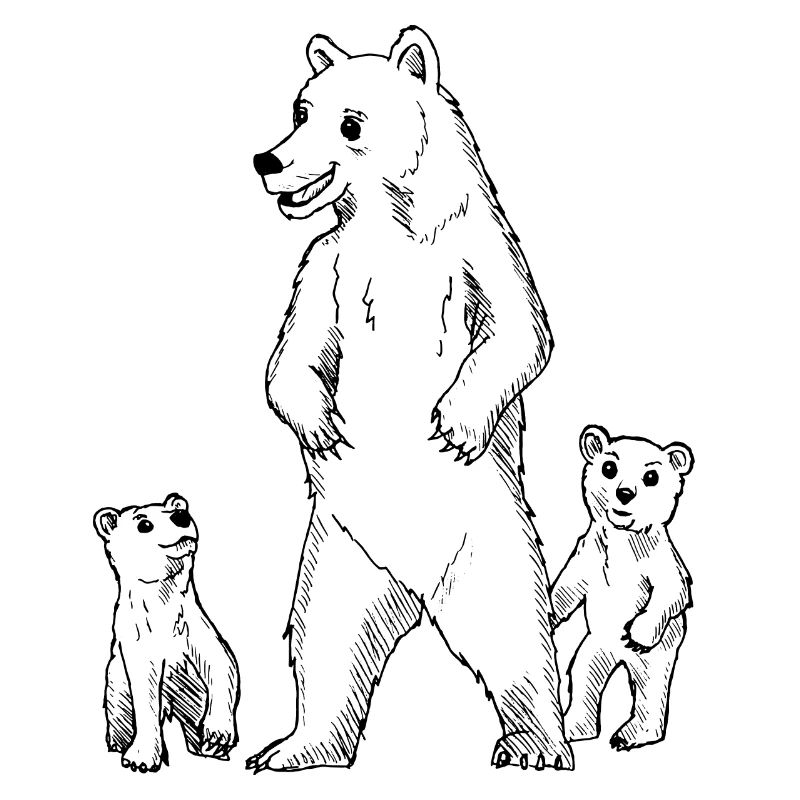Bären Mutter Vater