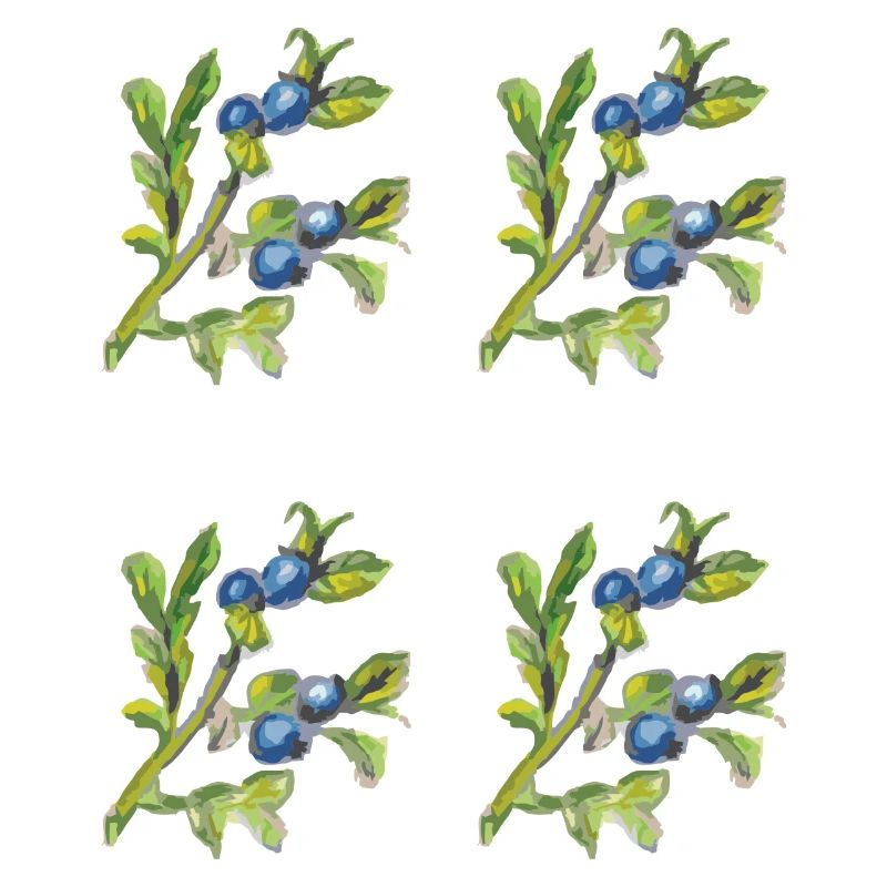 Myrtille 4 plis
