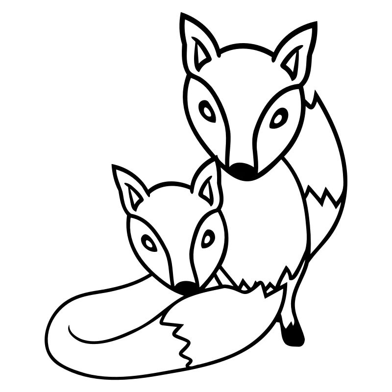 2 Foxes Friends Red Fox Two Wild Animals Team