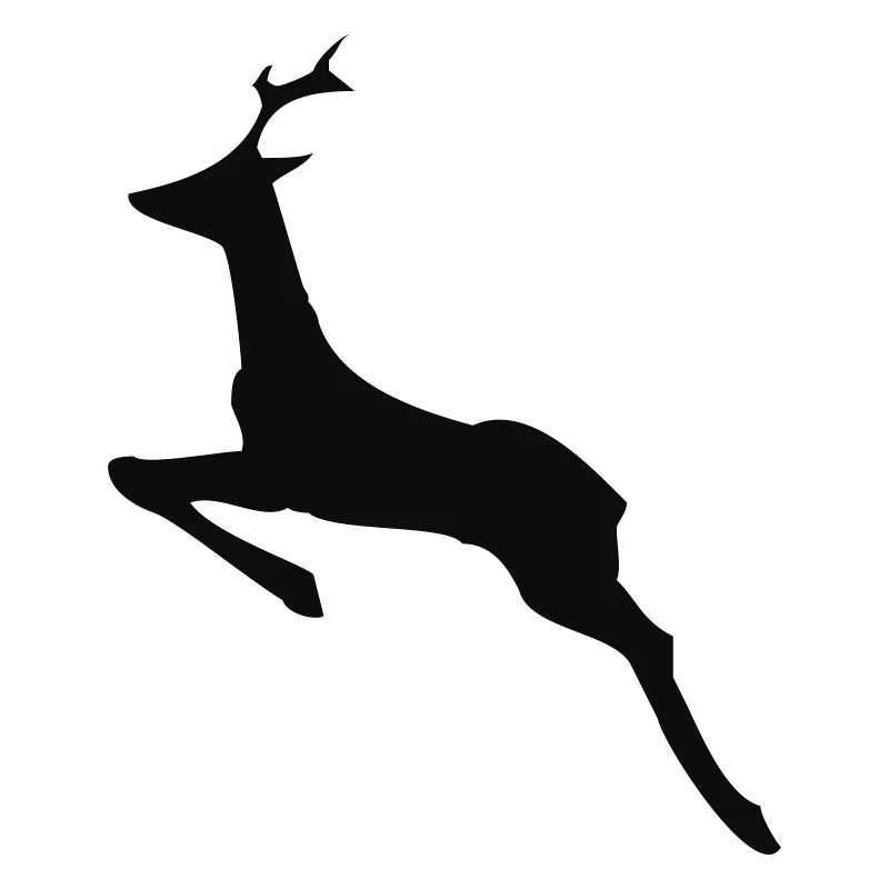 deer,roe deer,forest