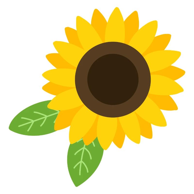 Sonnenblume