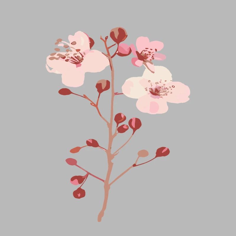 Blossoms from the cherry tree sakura