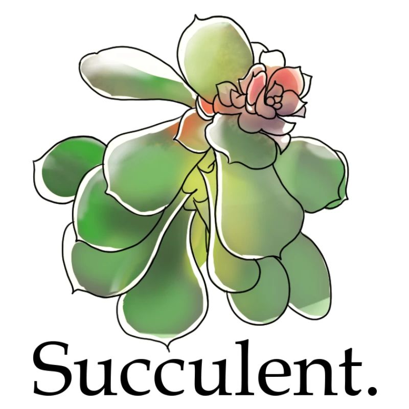 Succulente Fleur Aquarelle