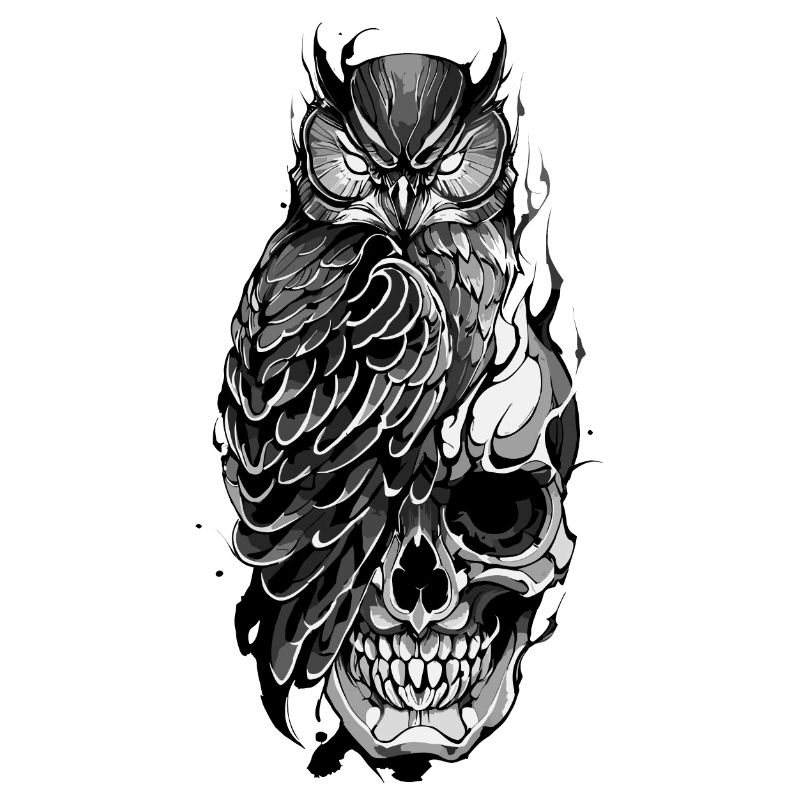 Owl Perched on Skull