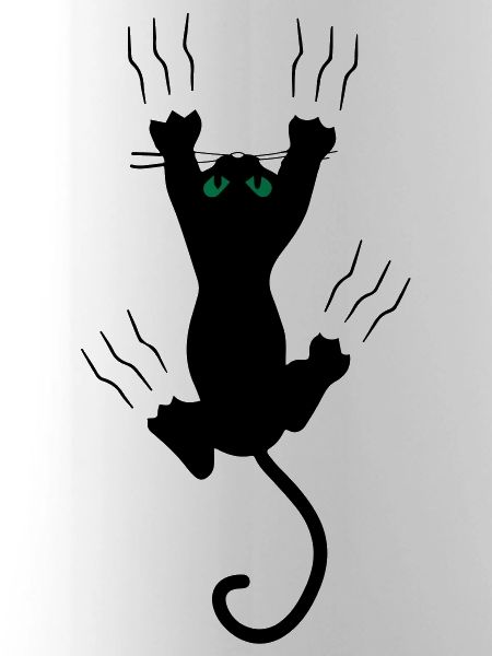 Katze
