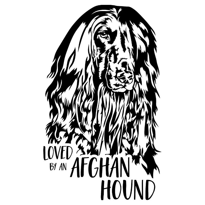 Afghane aimée par un lévrier afghan Greyhound Wilsigns