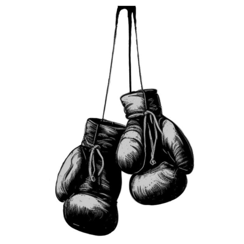 Boxhandschuhe
