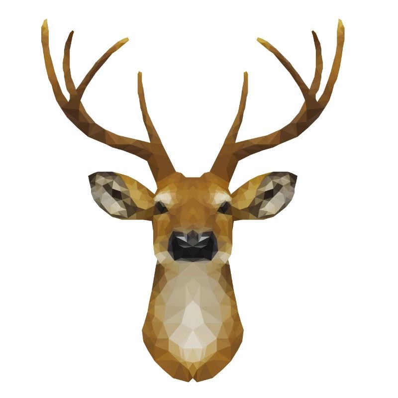 polygone de cerf