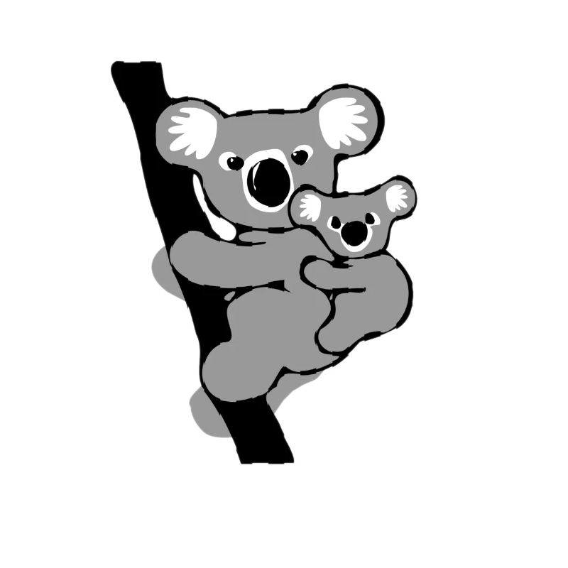 koala et son petit