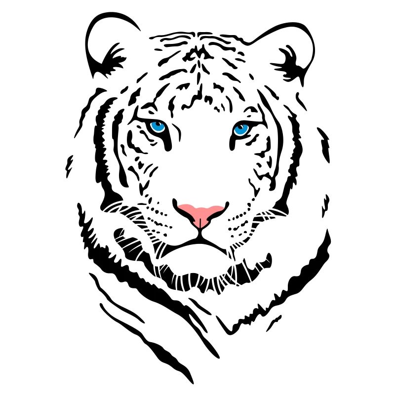 White Tiger # 2