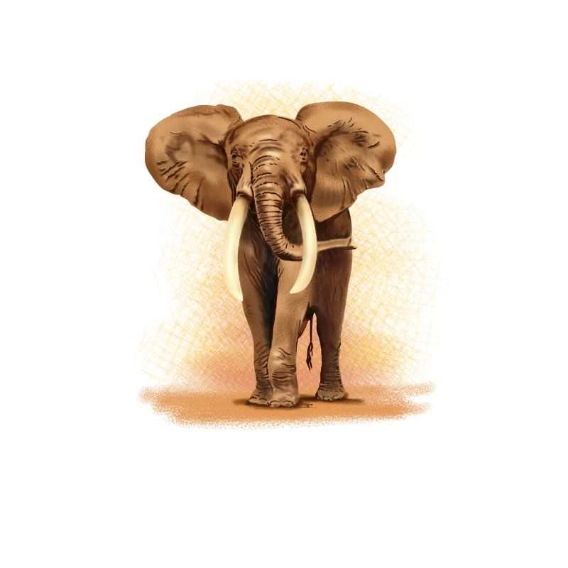 éléphant