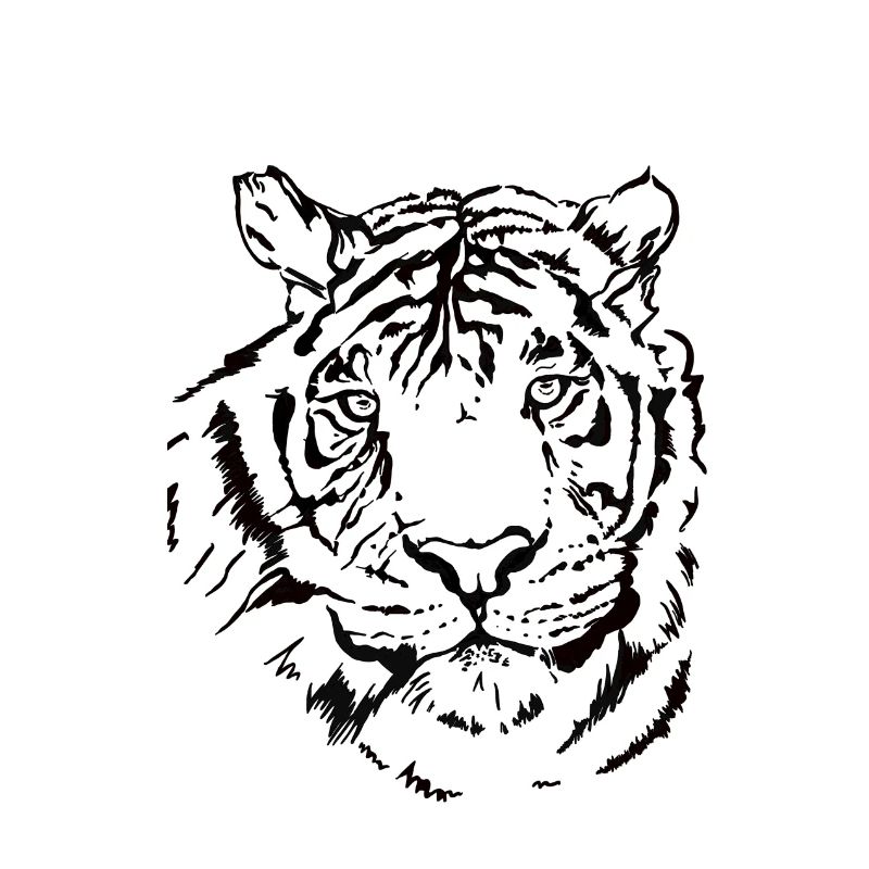 Hand-drawn tiger