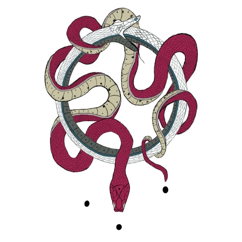 Infinite Snakes