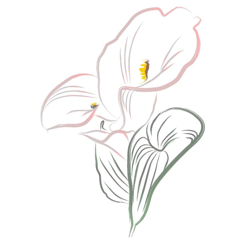 CALLA mix cold