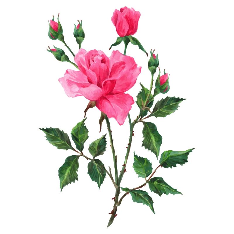 Fleur