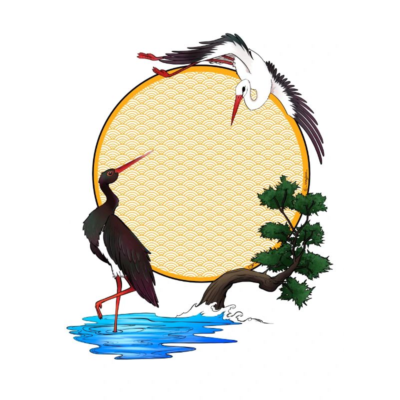 Storks - Japan - Alsace - Sun