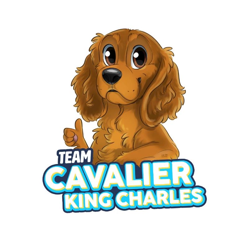 TEAM Cavalier King Charles - Feu