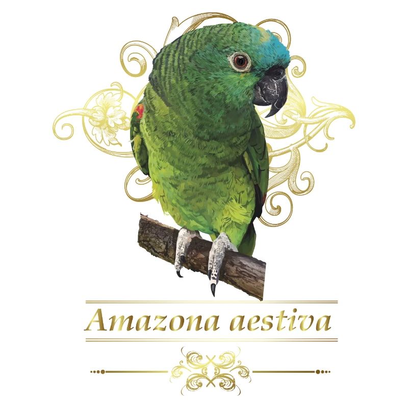 The blue-fronted amazon