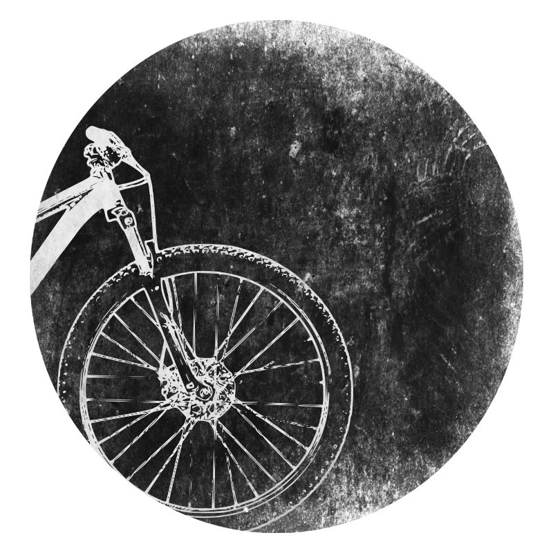 Roue de vélo