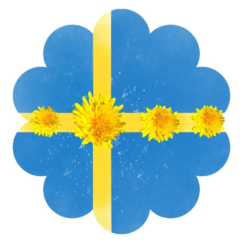 Suède Pissenlit Fleurs Suède Drapeau