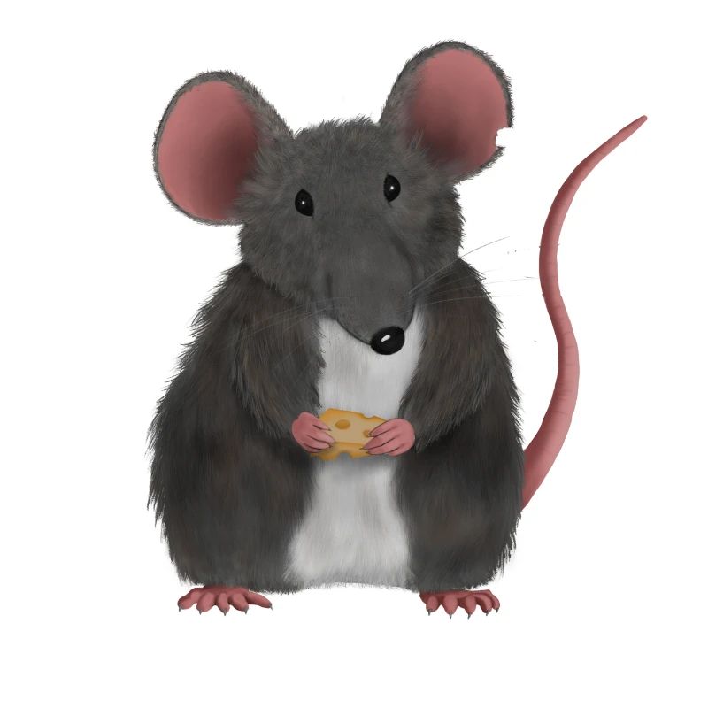 Kleine süße Maus oder Ratte