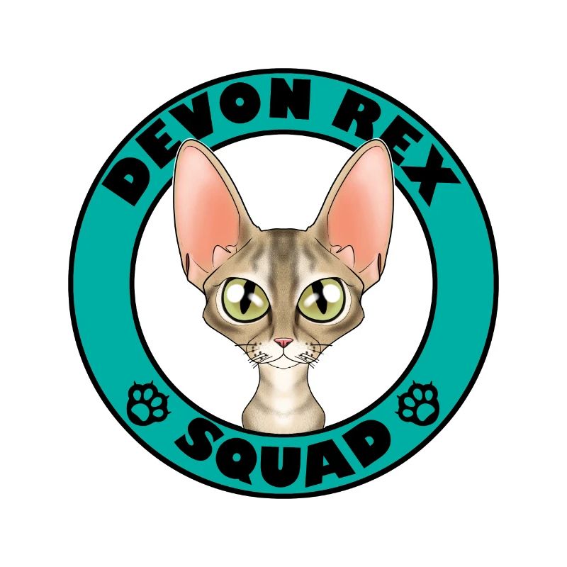 Devon Rex Squad I Amoureux des chats I Devon Rex Chat