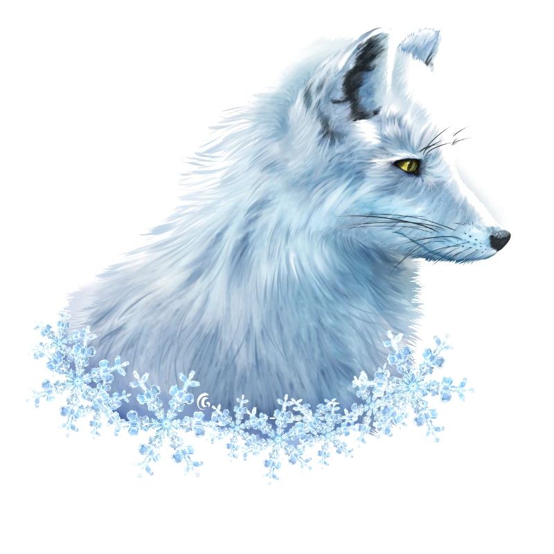 Polarfuchs