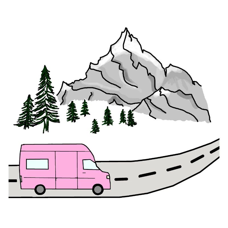 VAN LIFE VANLIFER NOMADS