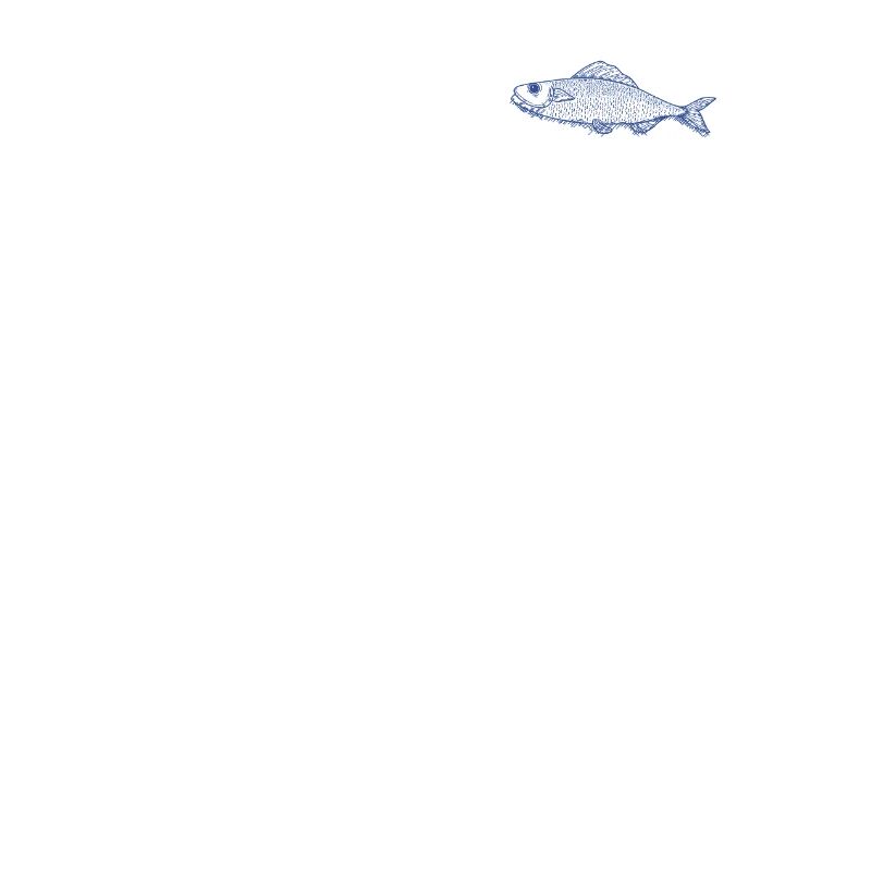 Sardine Visual Gift Nautical Maritime Trend