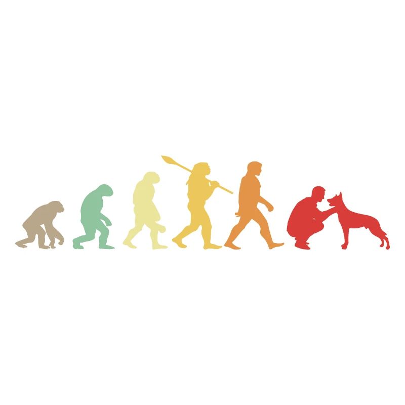 Evolution Funny Belgian Shepherd Dog Malinois